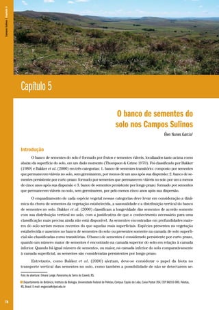 78
Capítulo 5
O banco de sementes do
solo nos Campos Sulinos
Élen Nunes Garcia1
Introdução
O banco de sementes do solo é formado por frutos e sementes viáveis, localizados tanto acima como
abaixo da superfície do solo, em um dado momento (Thompson & Grime 1979). Foi classificado por Bakker
(1989) e Bakker et al. (2000) em três categorias: 1. banco de sementes transitório: composto por sementes
que permanecem viáveis no solo, sem germinarem, por menos de um ano após sua dispersão; 2. banco de se-
mentes persistente por curto prazo: formado por sementes que permanecem viáveis no solo por um a menos
de cinco anos após sua dispersão e 3. banco de sementes persistente por longo prazo: formado por sementes
que permanecem viáveis no solo, sem germinarem, por pelo menos cinco anos após sua dispersão.
O enquadramento de cada espécie vegetal nessas categorias deve levar em consideração a dinâ-
mica da chuva de sementes da vegetação estabelecida, a sazonalidade e a distribuição vertical do banco
de sementes no solo. Bakker et al. (2000) classificam a longevidade das sementes de acordo somente
com sua distribuição vertical no solo, com a justificativa de que o conhecimento necessário para uma
classificação mais precisa ainda não está disponível. As sementes encontradas em profundidades maio-
res do solo seriam menos recentes do que aquelas mais superficiais. Espécies presentes na vegetação
estabelecida e ausentes no banco de sementes do solo ou presentes somente na camada de solo superfi-
cial são classificadas como transitórias. O banco de sementes é considerado persistente por curto prazo,
quando um número maior de sementes é encontrado na camada superior do solo em relação à camada
inferior. Quando há igual número de sementes, ou maior, na camada inferior do solo comparativamente
à camada superficial, as sementes são consideradas persistentes por longo prazo.
Entretanto, como Bakker et al. (2000) alertam, deve-se considerar o papel da biota no
transporte vertical das sementes no solo, como também a possibilidade de não se detectarem se-
Foto de abertura: Omara Lange. Panorama da Serra do Caverá, RS.
1 Departamento de Botânica, Instituto de Biologia, Universidade Federal de Pelotas, Campus Capão do Leão, Caixa Postal 354, CEP 96010-900, Pelotas,
RS, Brasil. E-mail: engarcia@ufpel.edu.br
CamposSulinos|Capítulo5
 