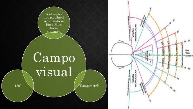 Campos visuales