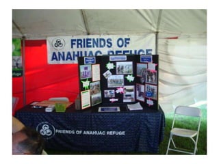 Campout at turtle bayou