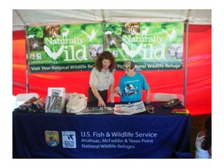 Campout at turtle bayou