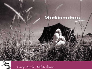 Camp Purple,  Mukteshwar Mountain madness 