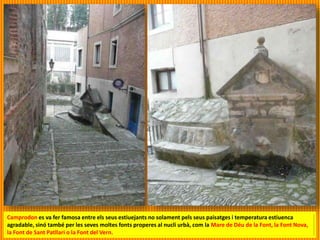 Camprodon es va fer famosa entre els seus estiuejants no solament pels seus paisatges i temperatura estiuenca
agradable, sinó també per les seves moltes fonts properes al nucli urbà, com la Mare de Déu de la Font, la Font Nova,
la Font de Sant Patllari o la Font del Vern.
 