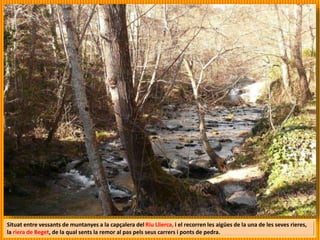 Situat entre vessants de muntanyes a la capçalera del Riu Llierca, i el recorren les aigües de la una de les seves rieres,
la riera de Beget, de la qual sents la remor al pas pels seus carrers i ponts de pedra.
 