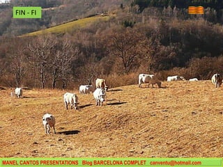MANEL CANTOS PRESENTATIONS Blog BARCELONA COMPLET canventu@hotmail.com
FIN - FI
 