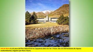 Vall de Núria és als peus del Parc Natural de les Capçaleres dels rius Ter i Freser. Són 14.750 hectàrees de riquesa
mediambiental, singulars per flora i fauna.
 