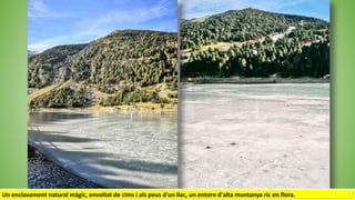 Un enclavament natural màgic, envoltat de cims i als peus d'un llac, un entorn d'alta muntanya ric en flora.
 