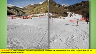 Vall de Núria. L' estació disposa d' un total d' onze pistes d' esquí alpí, així com una pista especial per a trineus. En total, set
quilòmetres de pistes abalisats.
 