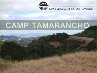 CAMP TAMARANCHO
 