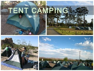 TENT CAMPING
 