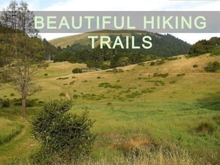 BEAUTIFUL HIKING
TRAILS
 