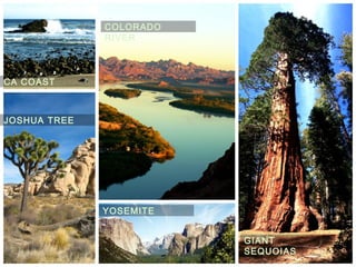 CA COAST
JOSHUA TREE
COLORADO
RIVER
YOSEMITE
GIANT
SEQUOIAS
 