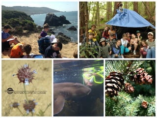 Naturalists at Large Camp Tamarancho 2016