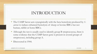 CAMP test and Reverse CAMP test – Microbiology and Infectious Diseases