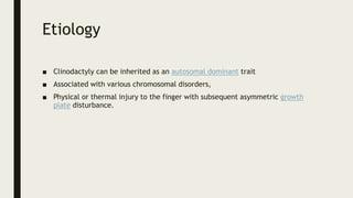 Etiology
■ Clinodactyly can be inherited as an autosomal dominant trait
■ Associated with various chromosomal disorders,
■ Physical or thermal injury to the finger with subsequent asymmetric growth
plate disturbance.
 