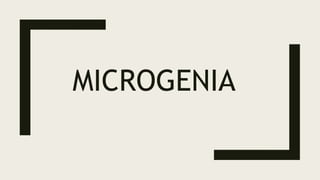 MICROGENIA
 