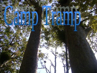 Camp Tramp 