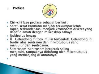 IDK 1(Ilmu Dasar Keperawatan 1) : reproduksi sel, mitosis dan meiosis ...
