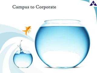 Campus to Corporate
 
