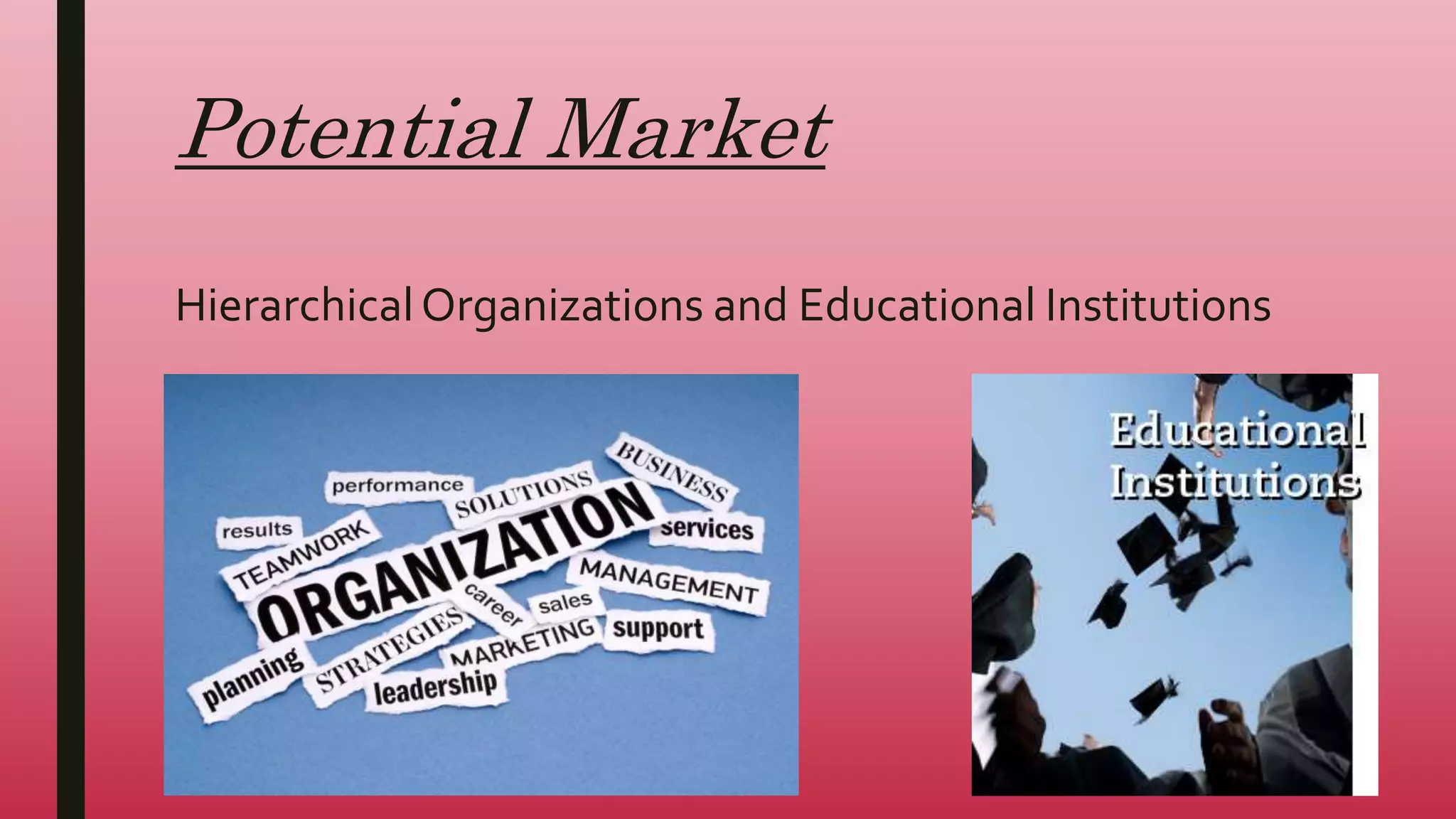 Potential Market
HierarchicalOrganizations and Educational Institutions
 