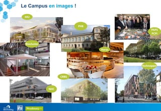 15
Le Campus en images !
Technoparc
NHC
IHU
Biocluster
Haras
PH8
PAPS
PCPI
CRBS
 