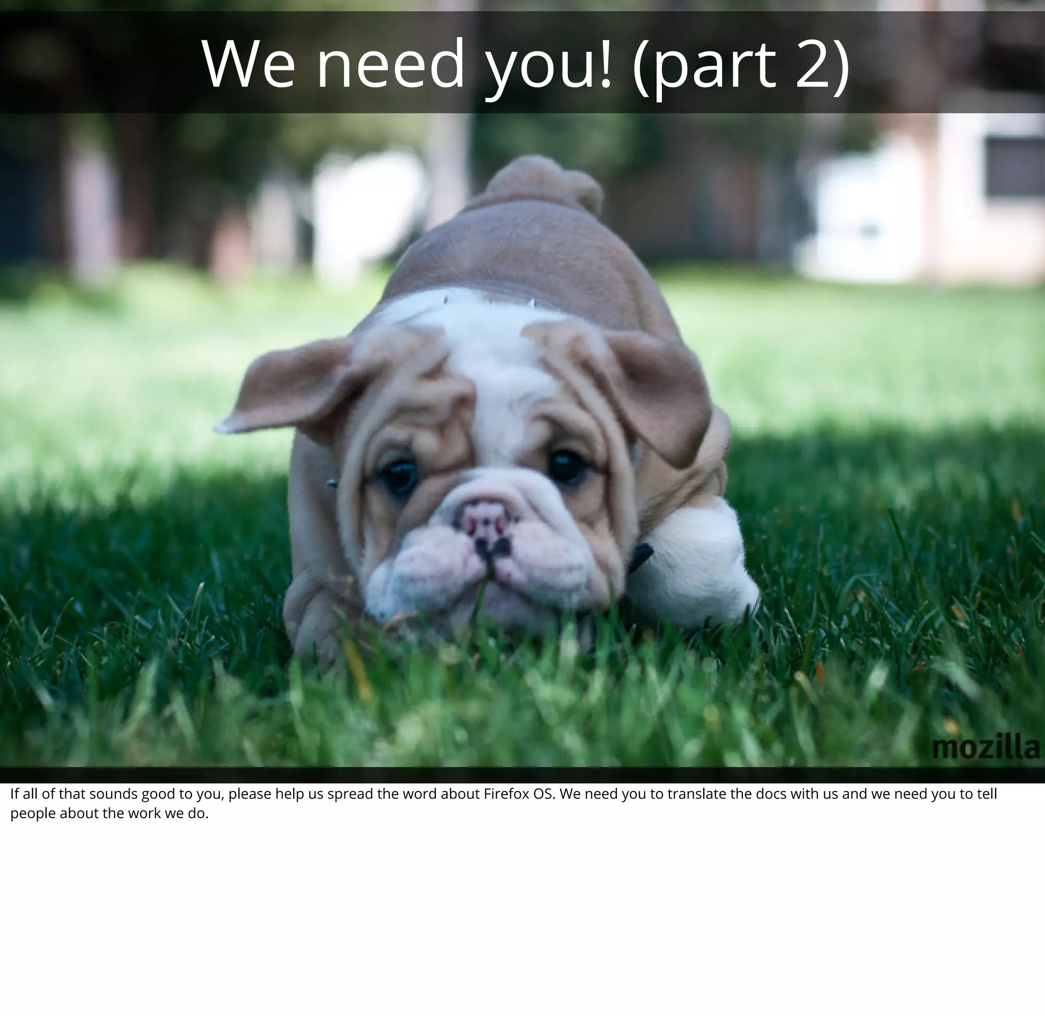 We need you! (part 2)




If all of that sounds good to you, please help us spread the word about Firefox OS. We need you to translate the docs with us and we need you to tell
people about the work we do.
 