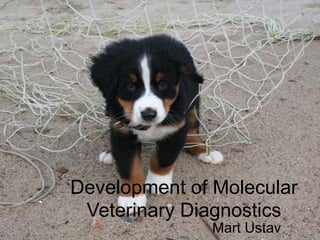 Development of Molecular Veterinary Diagnostics Mart Ustav 
