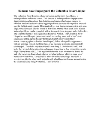Humans have Engangered the Columbia River Limpet
The Columbia River Limpet, otherwise known as the Short faced Lanx, is
endangered due to human causes. This species is endangered due to population
fragmentation and isolation, dam building, and many other human causes. In
addition, habitat loss is one of the biggest problems because this organism has such
specific habitat requirements. This species lives in a freshwater ecosystem and now,
large populations can only be found in 4 streams. On the other hand, these human
induced problems can be remedied with a few restrictions, support, and a little effort.
The scientific name of this organism is Fisherola Nuttalli. The Columbia River
Limpet is a small lunged (pulmonate) snail. According to an article by Celeste
Mazzacano at the Xerces Society for Invertebrate Conservation (http:/
/www.xerces.org/giant columbia river limpet/), It has a limpet like appearance,
with an uncoiled conical shell that has a wide base and a smooth, eccentric (off
center) apex. The shells may reach up to 8 mm long, 6.25 mm wide, and 3 mm
high; they are rich brown in color and appear striped due to fine concentric growth
rings (Neitzel Frest 1992). This organism is known as an invertebrate due to the
lack of a backbone. Invertebrates lack a vertebral column, which is made up of
bones called vertebrae. The scientific name for animals lacking a backbone is
Invertebrata. On the other hand, animals with a backbone are known as vertebrates,
the scientific name being Vertebrata. There are over 1
 