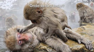 Onde será o teste?
 