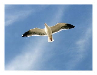 Campus to corporate_bim_tech_16062013