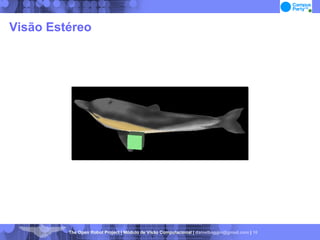 Visão Estéreo 