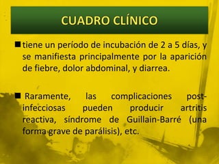 CUADRO CLÍNICOtiene un período de incubación de 2 a 5 días, y se manifiesta principalmente por la aparición de fiebre, dolor abdominal, y diarrea. Raramente, las complicaciones post-infecciosas pueden producir artritis reactiva, síndrome de Guillain-Barré (una forma grave de parálisis), etc. 