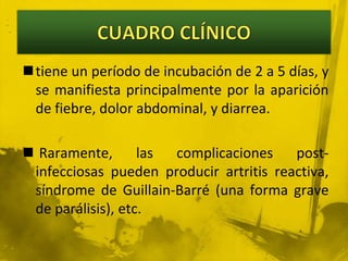 CUADRO CLÍNICOtiene un período de incubación de 2 a 5 días, y se manifiesta principalmente por la aparición de fiebre, dolor abdominal, y diarrea. Raramente, las complicaciones post-infecciosas pueden producir artritis reactiva, síndrome de Guillain-Barré (una forma grave de parálisis), etc. 