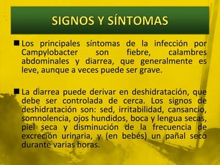 SIGNOS Y SÍNTOMASLos principales síntomas de la infección por Campylobacter son fiebre, calambres abdominales y diarrea, que generalmente es leve, aunque a veces puede ser grave. La diarrea puede derivar en deshidratación, que debe ser controlada de cerca. Los signos de deshidratación son: sed, irritabilidad, cansancio, somnolencia, ojos hundidos, boca y lengua secas, piel seca y disminución de la frecuencia de excreción urinaria, y (en bebés) un pañal seco durante varias horas.