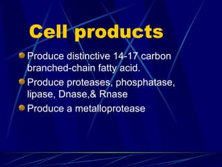 Cell products
Produce distinctive 14-17 carbon
branched-chain fatty acid.
Produce proteases, phosphatase,
lipase, Dnase,& Rnase
Produce a metalloprotease
 