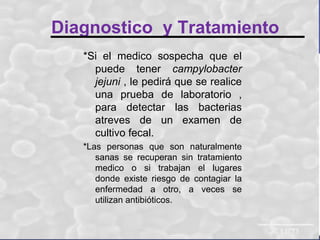 Diagnostico y Tratamiento
*Si el medico sospecha que el
puede tener campylobacter
jejuni , le pedirá que se realice
una prueba de laboratorio ,
para detectar las bacterias
atreves de un examen de
cultivo fecal.
*Las personas que son naturalmente
sanas se recuperan sin tratamiento
medico o si trabajan el lugares
donde existe riesgo de contagiar la
enfermedad a otro, a veces se
utilizan antibióticos.

 