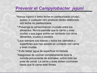 Prevenir el Campylobacter jejuni
*Nunca ingiera o beba leche no pasteurizada (cruda),
queso, o cualquier otro producto lácteo elaborado
con leche no pasteurizada.
* Prevenga la contaminación cruzada entre los
alimentos. Nunca permita que la carne y aves
crudas o sus jugos entren en contacto con otros
alimentos, crudos o cocidos.
*Lave siempre sus manos y todos los utensilios y
superficies que han estado en contacto con carne
y aves crudas.
* Evite beber agua de superficie no tratada.
*Asegúrese de cocinar completamente toda la
comida proveniente de animales, sobre todo las
aves de corral. La carne y aves deben cocinarse
hasta que la carne esté firmes.

 