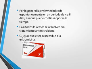 • Por lo general la enfermedad cede
espontáneamente en un periodo de 5 a 8
días, aunque puede continuar por más
tiempo.
• Casi todos los casos se resuelven sin
tratamiento antimicrobiano.
• C. jejuni suele ser susceptible a la
eritromicina.
 