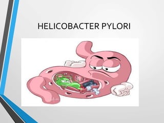 HELICOBACTER PYLORI
 