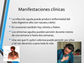 Manifestaciones clínicas
• La infección aguda puede producir enfermedad del
tubo digestivo alto con nausea y dolor.
• En ocasiones también hay vómito y fiebre.
• Los síntomas agudos pueden persistir durante menos
de una semana o hasta dos semanas.
• Una vez que H. pylori coloniza puede persistir por años
y tal vez decenios o para toda la vida.
 