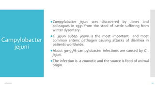 Campylobacter
jejuni
●Campylobacter jejuni was discovered by Jones and
colleagues in 1931 from the stool of cattle suffering from
winter dysentery.
●C .jejuni subsp. jejuni is the most important and most
common enteric pathogen causing attacks of diarrhea in
patients worldwide.
●About 90-95% campylobacter infections are caused by C .
jejuni.
●The infection is a zoonotic and the source is food of animal
origin.
12/2/2021 11
 