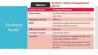 Virulence
factor
17
12/2/2021
 