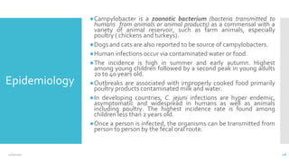 Epidemiology
●Campylobacter is a zoonotic bacterium (bacteria transmitted to
humans from animals or animal products) as a commensal with a
variety of animal reservoir, such as farm animals, especially
poultry ( chickens and turkeys).
●Dogs and cats are also reported to be source of campylobacters.
●Human infections occur via contaminated water or food.
●The incidence is high in summer and early autumn. Highest
among young children followed by a second peak in young adults
20 to 40 years old.
●Outbreaks are associated with improperly cooked food primarily
poultry products contaminated milk and water.
●In developing countries, C. jejuni infections are hyper endemic,
asymptomatic and widespread in humans as well as animals
including poultry. The highest incidence rate is found among
children less than 2 years old.
●Once a person is infected, the organisms can be transmitted from
person to person by the fecal oral route.
12/2/2021 18
 