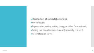❑Risk factors of campylobacteriosis
●HIV infection
●Exposure to poultry, cattle, sheep, or other farm animals
●Eating raw or undercooked meat (especially chicken)
●Recent foreign travel
12/2/2021 21
 