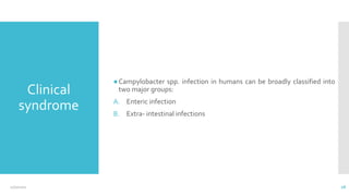 Clinical
syndrome
●Campylobacter spp. infection in humans can be broadly classified into
two major groups:
A. Enteric infection
B. Extra- intestinal infections
12/2/2021 28
 