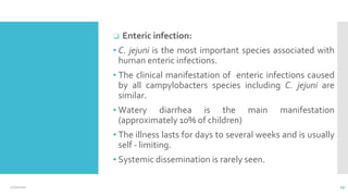 12/2/2021 29
❑ Enteric infection:
▪ C. jejuni is the most important species associated with
human enteric infections.
▪ The clinical manifestation of enteric infections caused
by all campylobacters species including C. jejuni are
similar.
▪ Watery diarrhea is the main manifestation
(approximately 10% of children)
▪ The illness lasts for days to several weeks and is usually
self - limiting.
▪ Systemic dissemination is rarely seen.
 