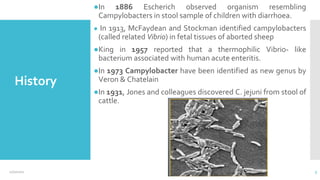 History
●In 1886 Escherich observed organism resembling
Campylobacters in stool sample of children with diarrhoea.
● In 1913, McFaydean and Stockman identified campylobacters
(called related Vibrio) in fetal tissues of aborted sheep
●King in 1957 reported that a thermophilic Vibrio- like
bacterium associated with human acute enteritis.
●In 1973 Campylobacter have been identified as new genus by
Veron & Chatelain
●In 1931, Jones and colleagues discovered C. jejuni from stool of
cattle.
3
12/2/2021
 