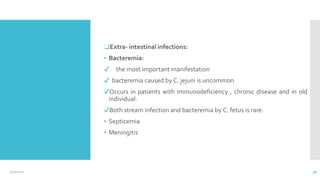 ❑Extra- intestinal infections:
▪ Bacteremia:
✔ the most important manifestation
✔ bacteremia caused by C. jejuni is uncommon
✔Occurs in patients with immunodeficiency , chronic disease and in old
individual.
✔Both stream infection and bacteremia by C. fetus is rare.
▪ Septicemia
▪ Meningitis
12/2/2021 30
 