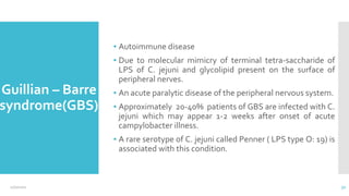 Guillian – Barre
syndrome(GBS)
▪ Autoimmune disease
▪ Due to molecular mimicry of terminal tetra-saccharide of
LPS of C. jejuni and glycolipid present on the surface of
peripheral nerves.
▪ An acute paralytic disease of the peripheral nervous system.
▪ Approximately 20-40% patients of GBS are infected with C.
jejuni which may appear 1-2 weeks after onset of acute
campylobacter illness.
▪ A rare serotype of C. jejuni called Penner ( LPS type O: 19) is
associated with this condition.
12/2/2021 32
 