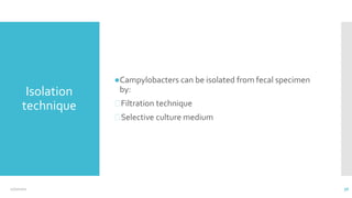 Isolation
technique
●Campylobacters can be isolated from fecal specimen
by:
⮚Filtration technique
⮚Selective culture medium
12/2/2021 36
 