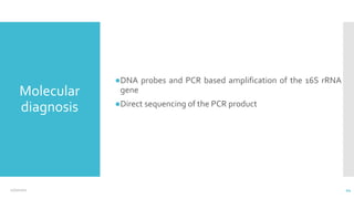 Molecular
diagnosis
●DNA probes and PCR based amplification of the 16S rRNA
gene
●Direct sequencing of the PCR product
12/2/2021 44
 